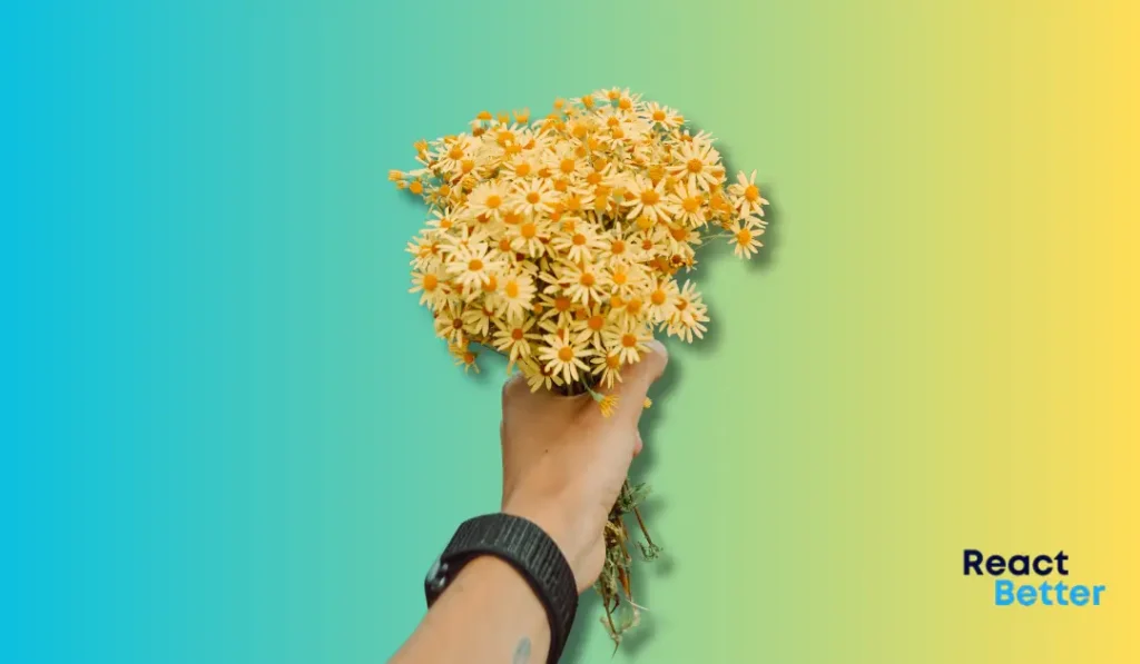 person holding a bouquet of flowers