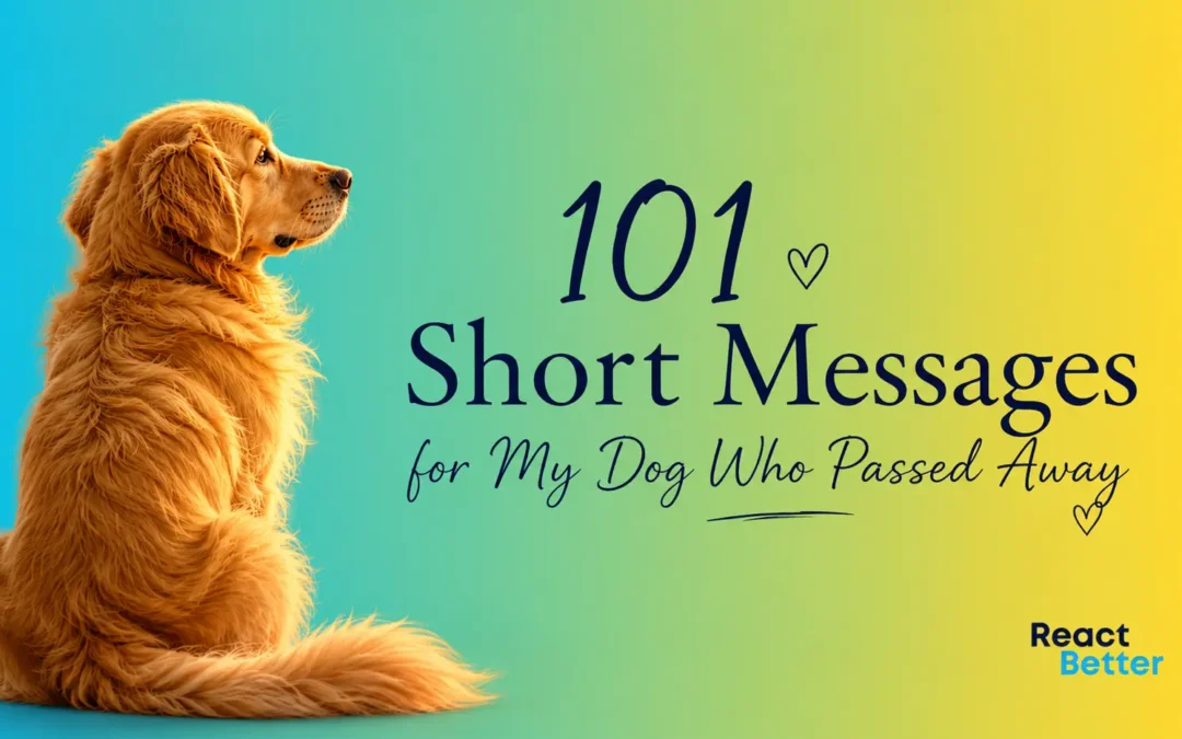 Short Messages for My Dog Who Passed Away