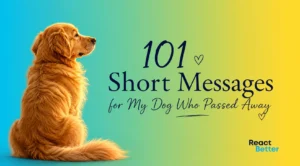 Short Messages for My Dog Who Passed Away