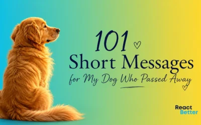101 Short Messages for My Dog Who Passed Away + RIP Quotes